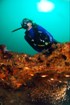 Kenya scuba diving holiday 